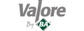 Valore by BA Logo